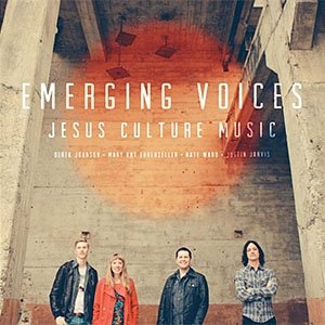CD-EMERGING-VOICES