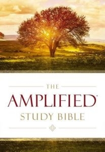 AMPLIFIED STUDY BIBLE - HC