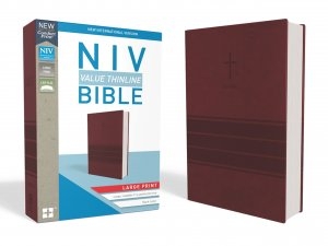 NIV-VALUE-THINLINE-L/P-BIBLE-BURGUNDY-LEATHERSOFT